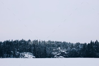 Winter whiteout on a lake with pine trees on a hill