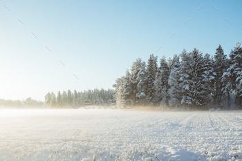 Winter whiteout field