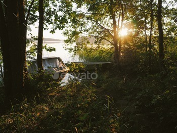 Morning sunshine by the lake
