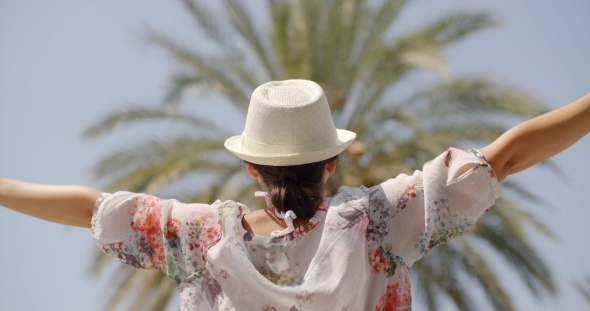VideoHive Rear View Of Woman On Palm Beach With Open Arms 12279805 VideoHive Rear View Of Woman On Palm Beach With Open Arms 12279805