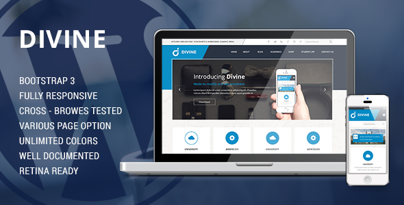 Divine - Professional Business Drupal Theme