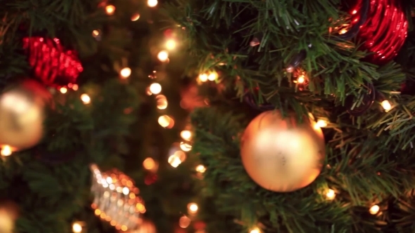Decorated Christmas Tree On  Blurred, Sparkling
