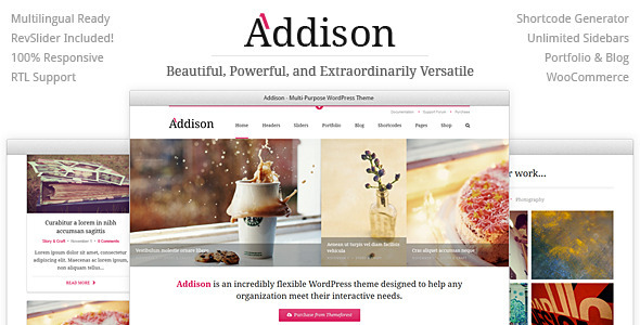 Addison - Premium Multi-Purpose WordPress Theme