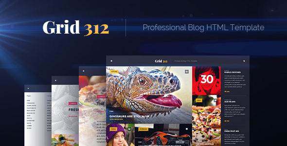 Grid312 - Professional Blog HTML Template