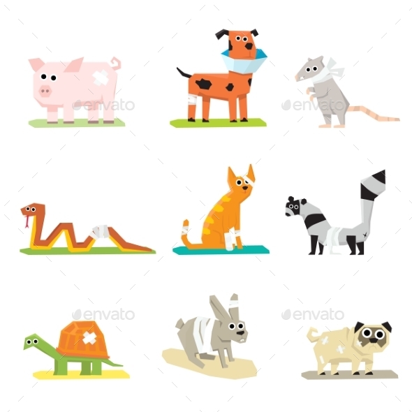 Veterinary Pet Health Care Animal Medicine Icons