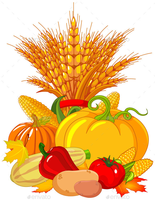 Thanksgiving Harvest Design