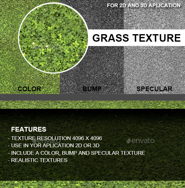 Grass Texture - 3DOcean Item for Sale
