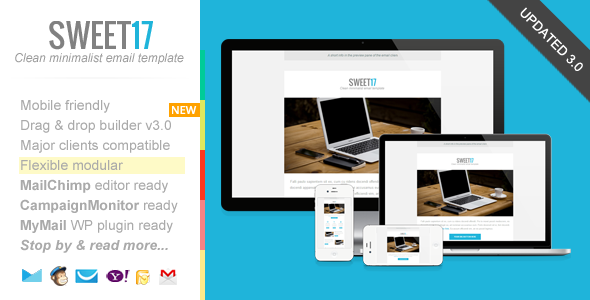 Sweet17, Clean Newsletter with Template Builder