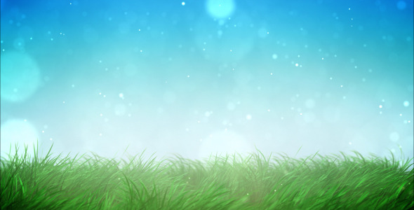 Sunny grass loop Sunny grass loop