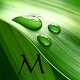 Muhammedh
