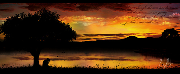 Homepage