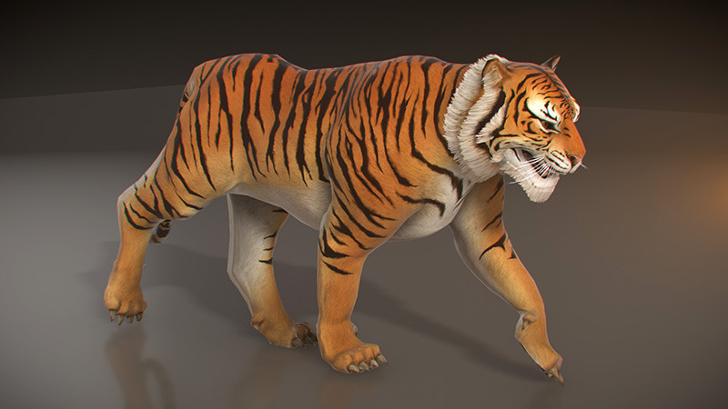 3d sketchup net model Tiger by    3DOcean PixelGem Poly Animated Low