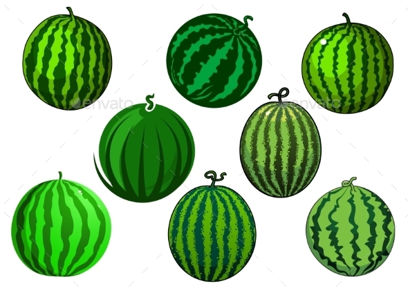 Fresh Green Striped Watermelons Fruits