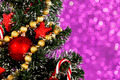 Photo of Christmas candies hanging on branch | Free christmas images