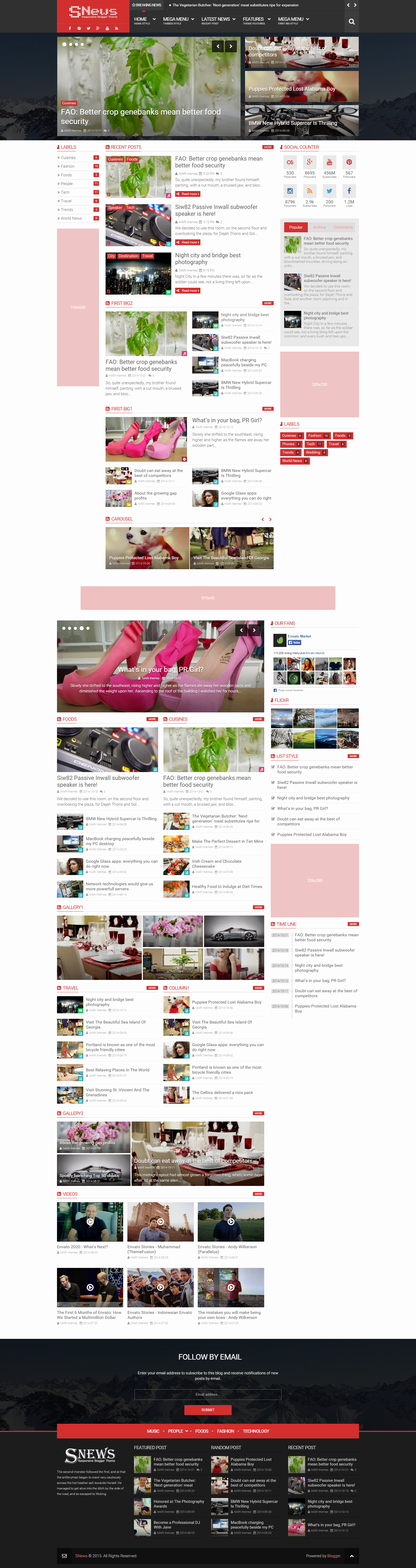 SNews - News/Magazine Responsive Blogger Theme