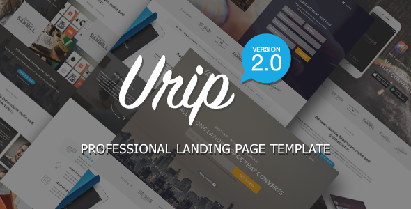 Urip - Professional Landing Page