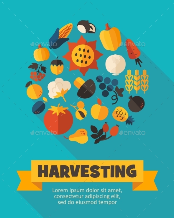 Harvest Fruits And Vegetable Poster