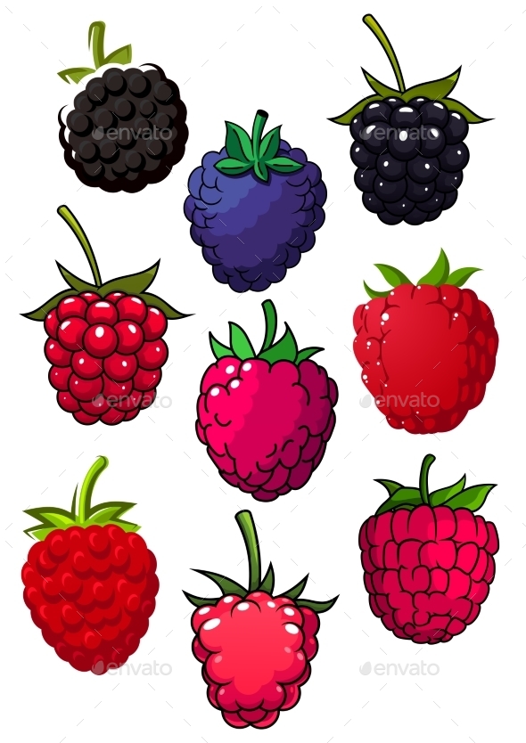 Red Raspberry And Blackberry Fruits