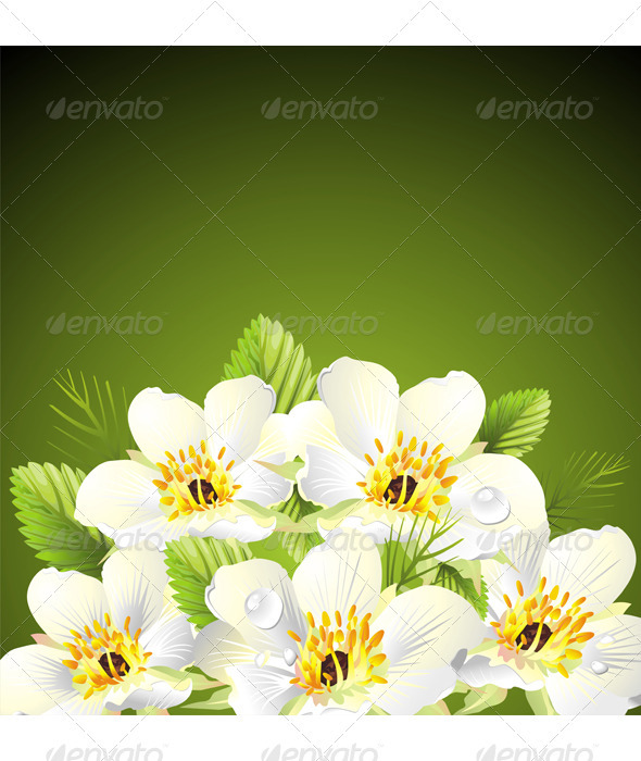 Flower design Flower design