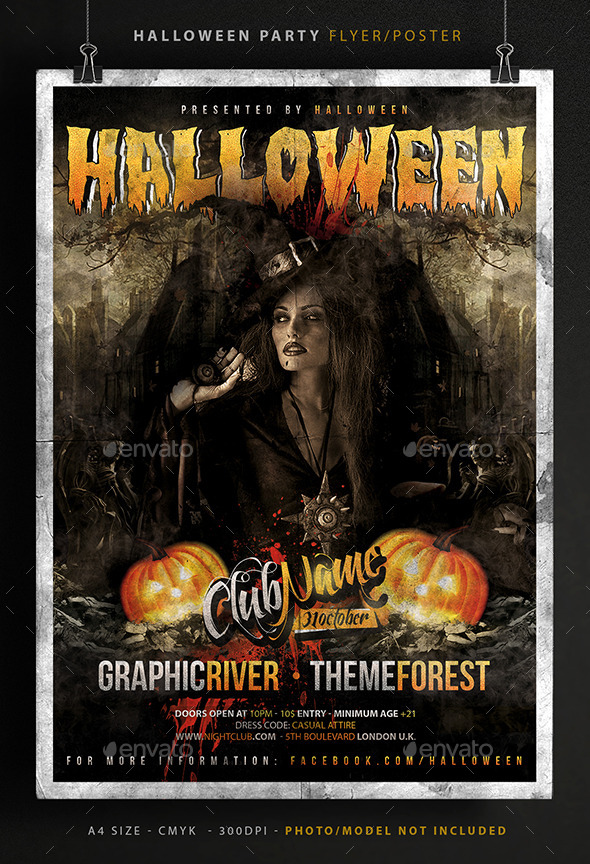 Halloween Party Poster / Flyer