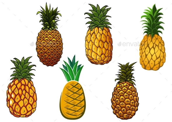 Tropical Ripe Yellow Pineapple Fruits