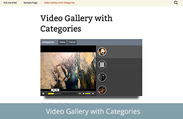 Video Gallery with Categories