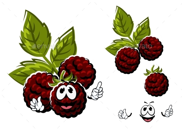 Cartoon Blackberry Berries Fruits With Leaves