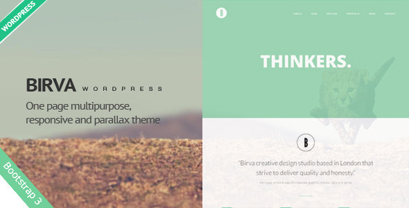 Birva - Creative One Page Wordpress Theme