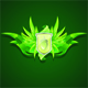 Druidul