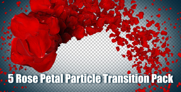 5 Rose Petal Particle Transition Pack 5 Rose Petal Particle Transition Pack