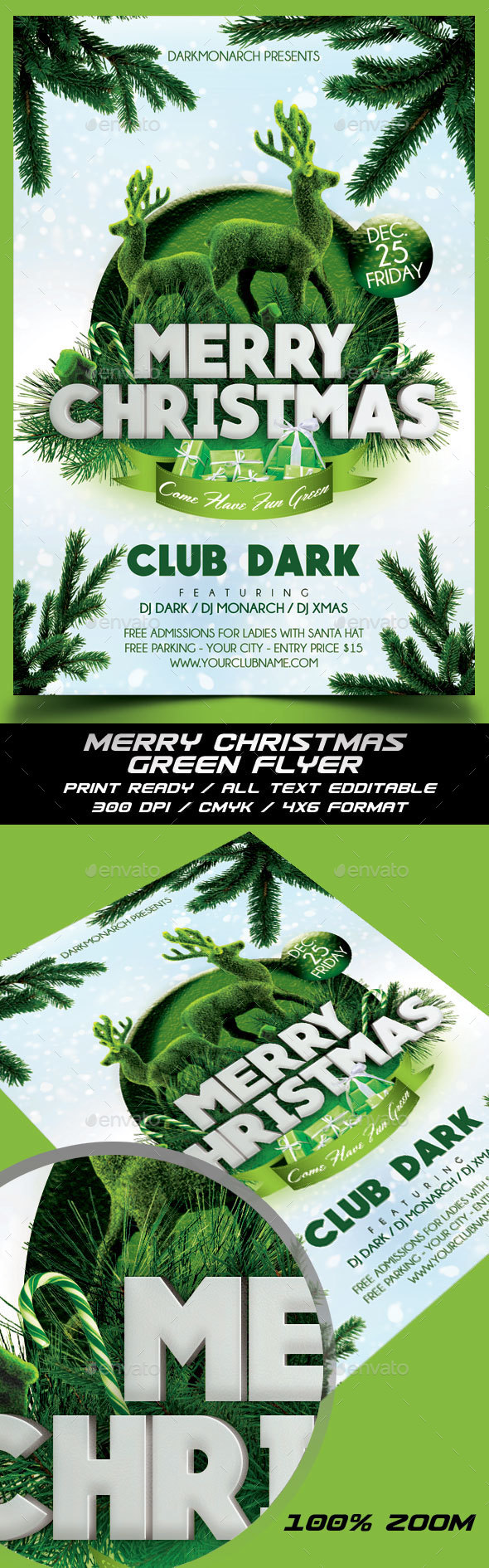 Christmas Party Flyer