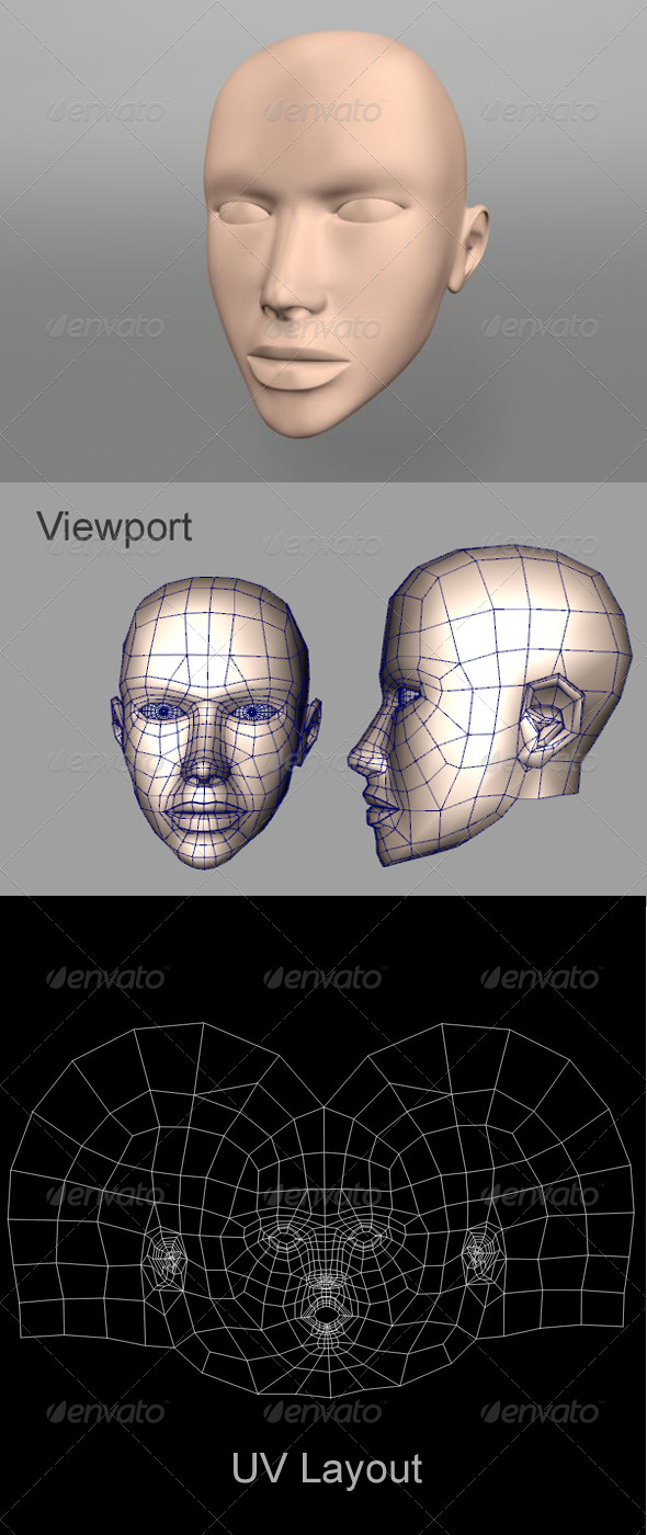 Human Female Head - 3DOcean Item for Sale