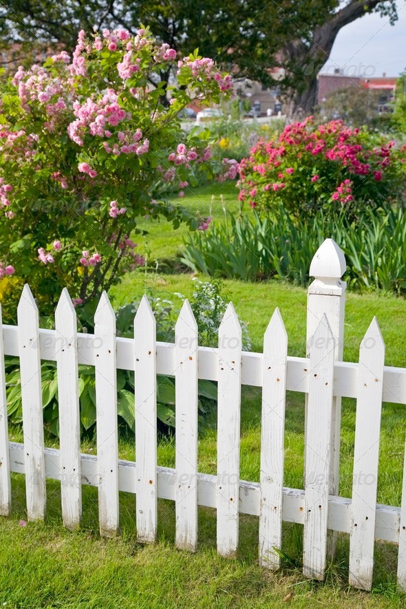 Rustic Picket Fence