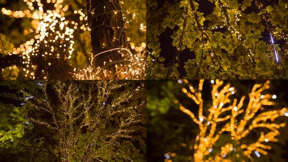 Colorful Christmas Illumination On A Tree