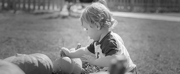 Img_0953bn