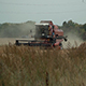 Harvester - 11