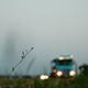 Harvester - 2