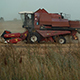 Harvester - 12