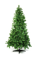 Photo of undecorated tree | Free christmas images