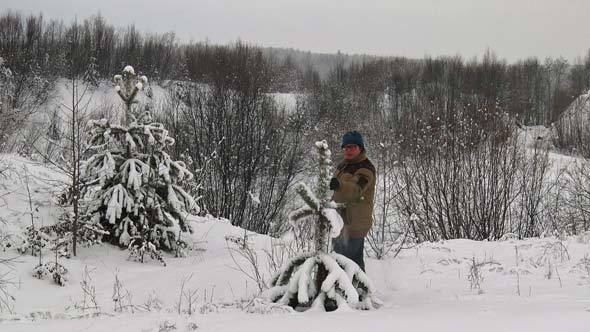 Person Chooses a Christmas Tree