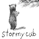 Stormycub