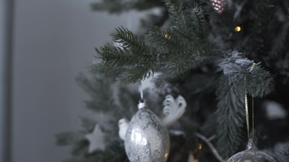 Boy Decorates The Christmas Tree