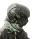 sartoresearch