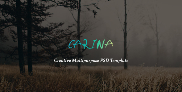 Carina - Creative Multipurpose PSD Template