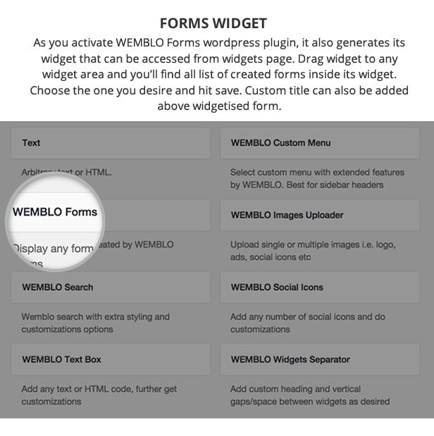 User Friendly Widget for Wemblo Forms