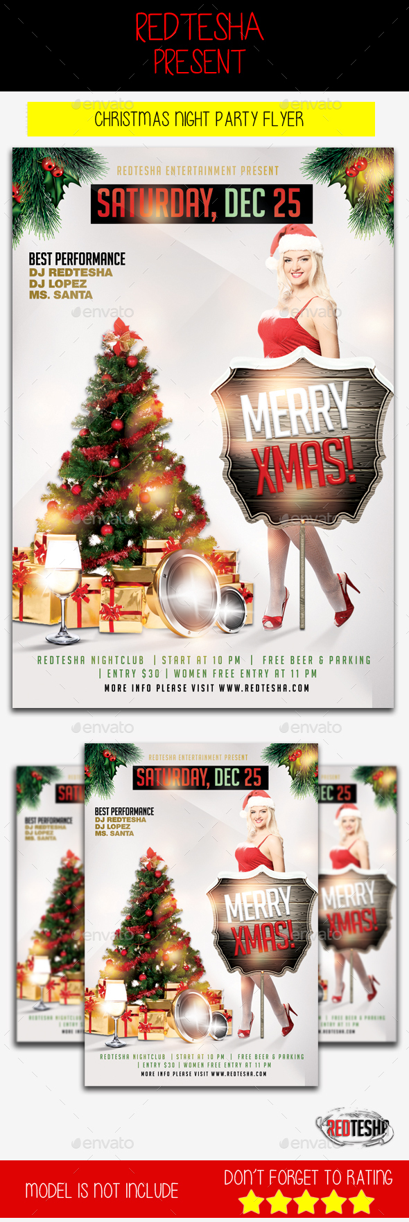Graphicriver Christmas Night Party Flyer 13988430