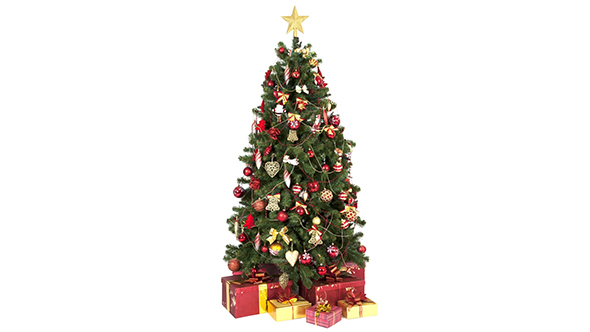 Decorating The Christmas Tree