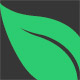 crazyleaf