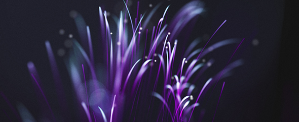 Banner01a