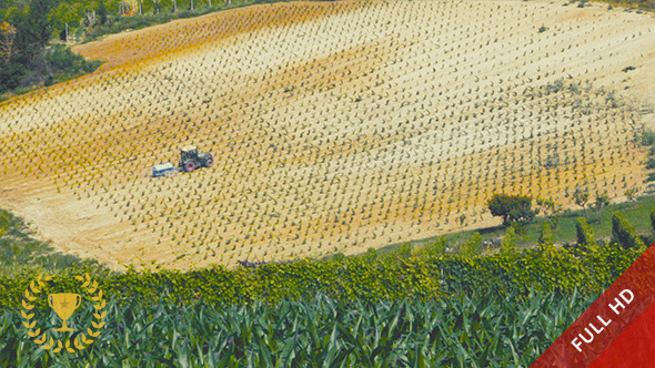 Tractor At Work in a Field Tractor At Work in a Field